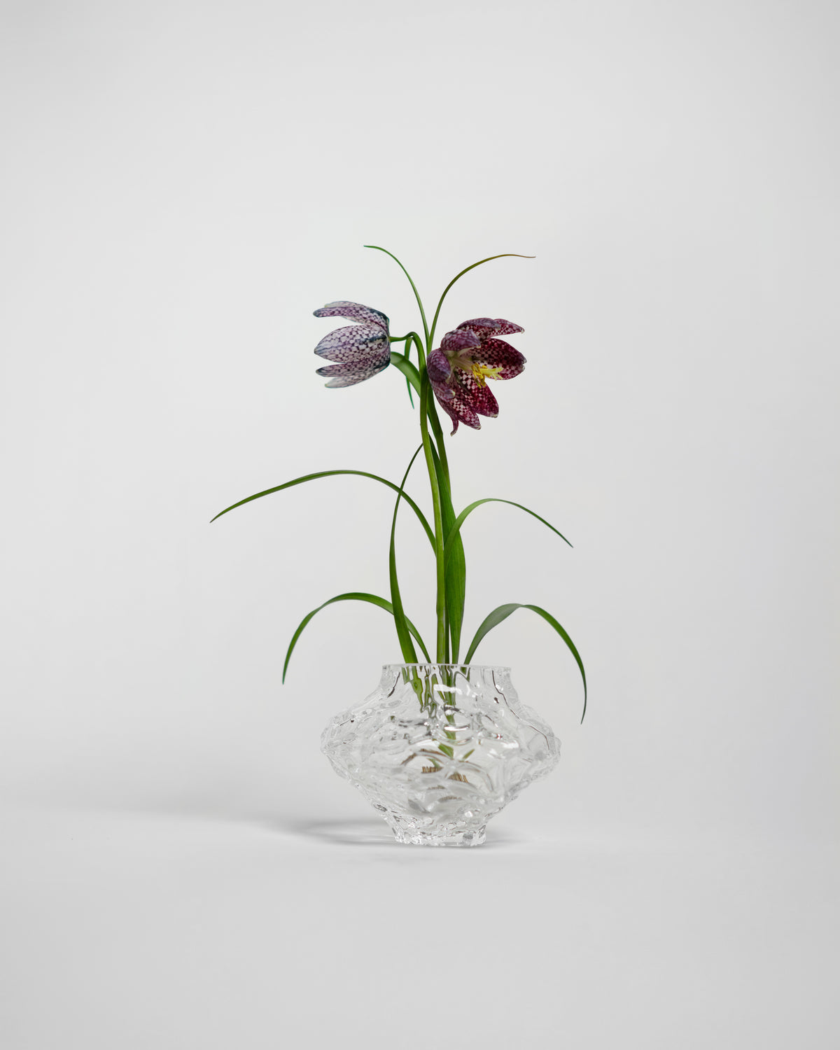 Canyon Vase - mini - Clear – HEIN STUDIO