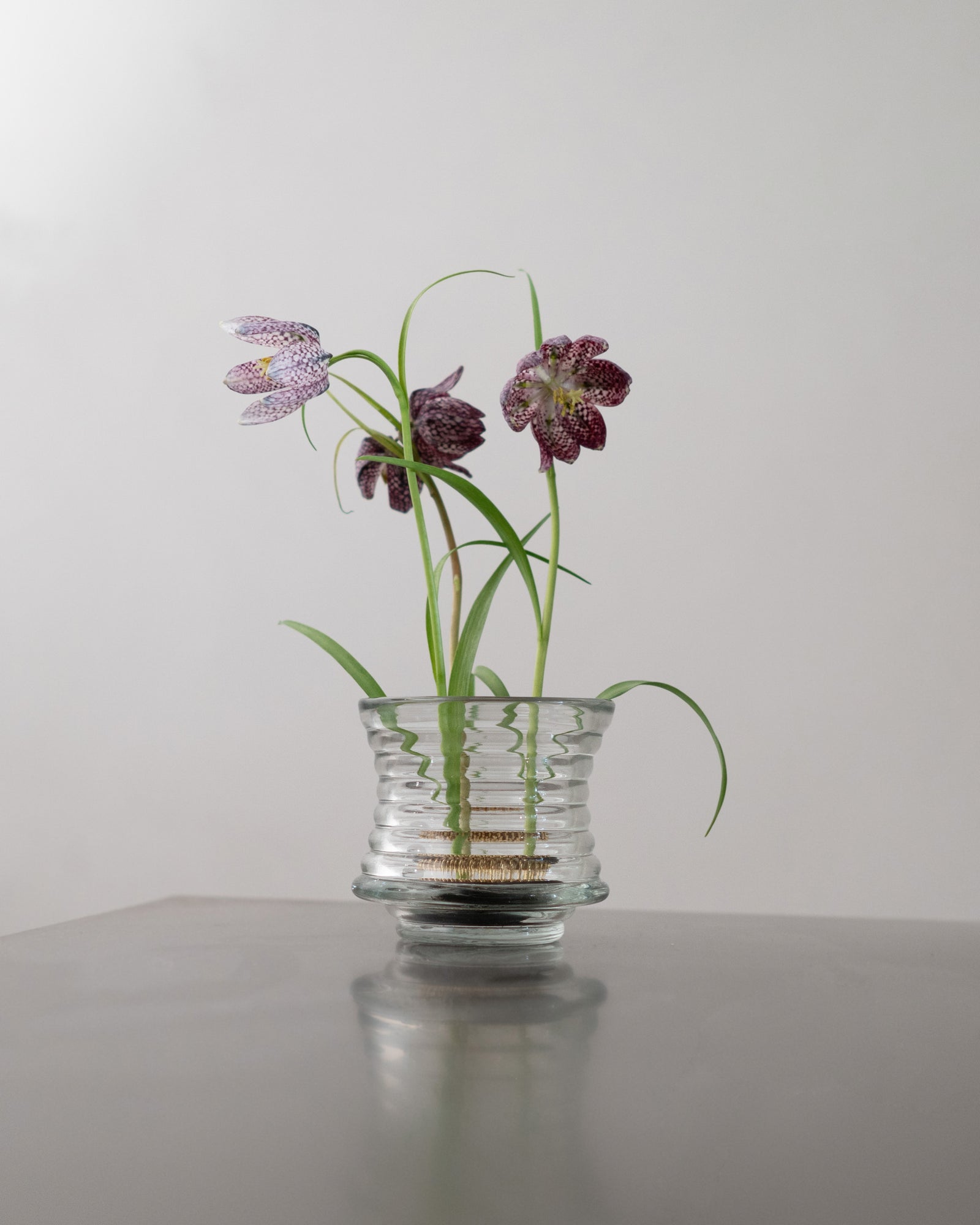 Kenzan Flower Arranger 60 mm – HEIN STUDIO