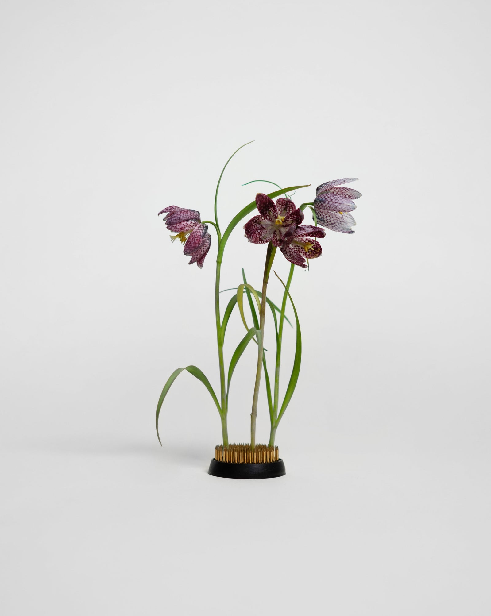 なな table flower arrange Kenzan Flower Arranger 60 mm – HEIN STUDIO