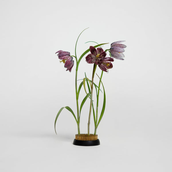 Kenzan Flower Arranger 60 mm – HEIN STUDIO
