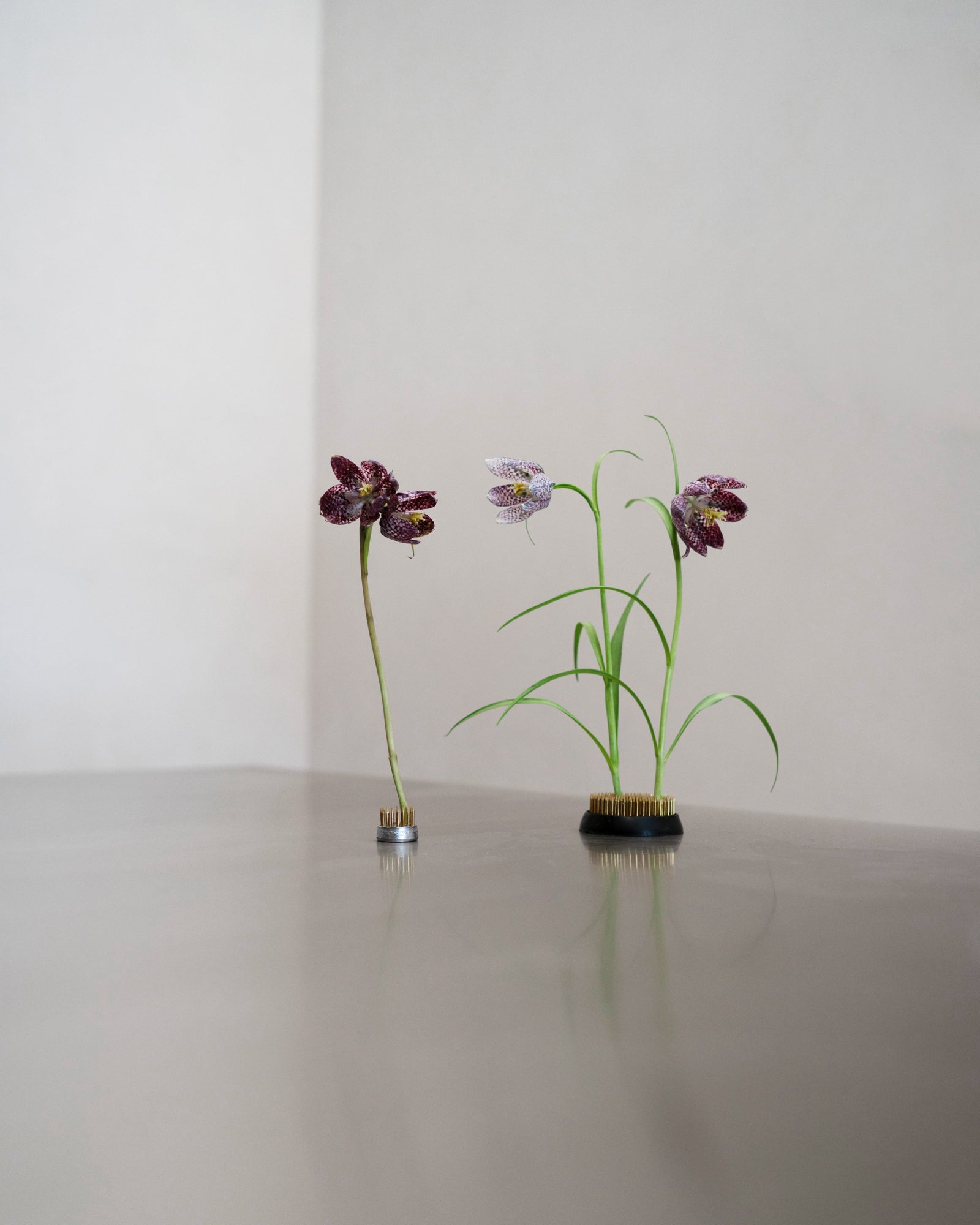 Kenzan Flower Arranger 60 mm – HEIN STUDIO