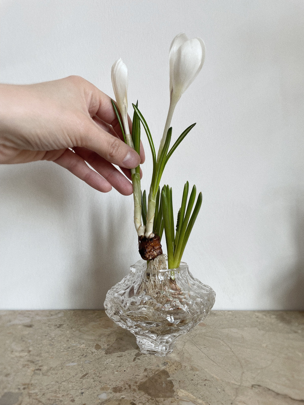 Canyon Vase - mini - Clear – HEIN STUDIO
