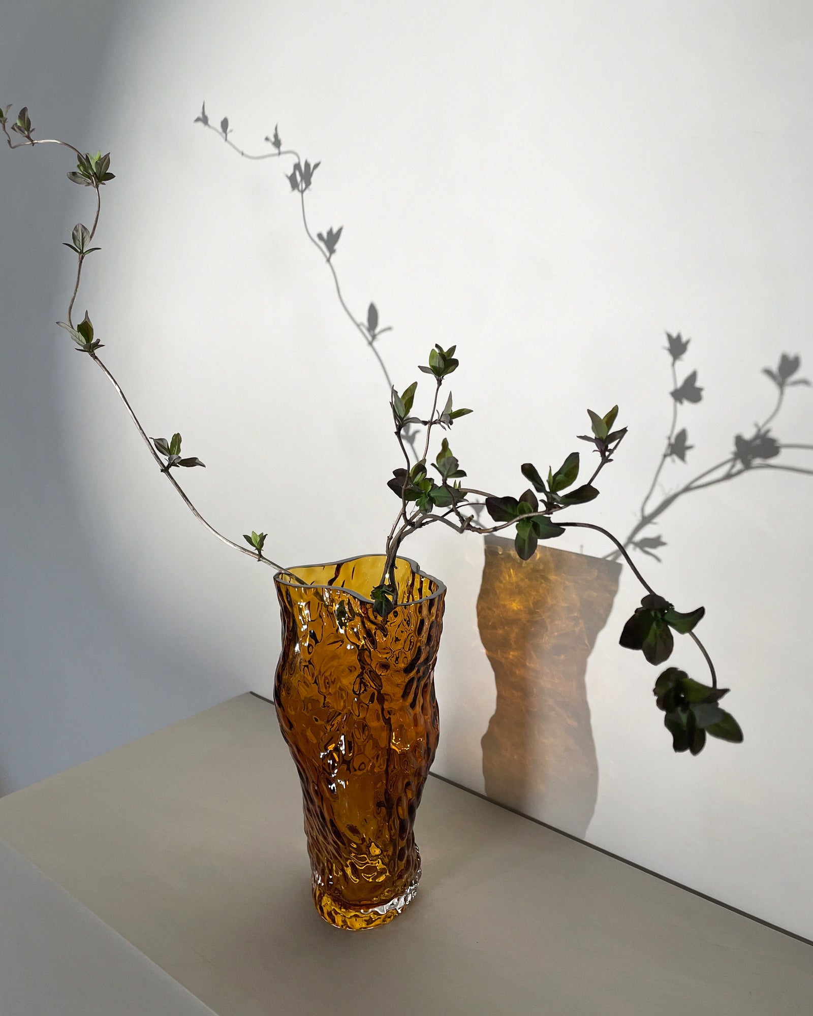 Ostrea Rock Glass Vase - Amber – HEIN STUDIO
